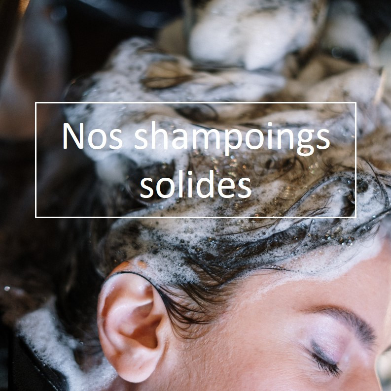 shamp solides 2